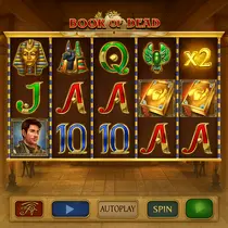 Wonaco - Book of Dead Slot Game - Adventure Pokie